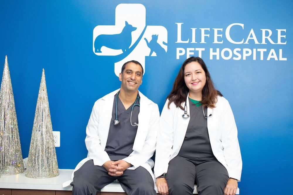 both veterinarians