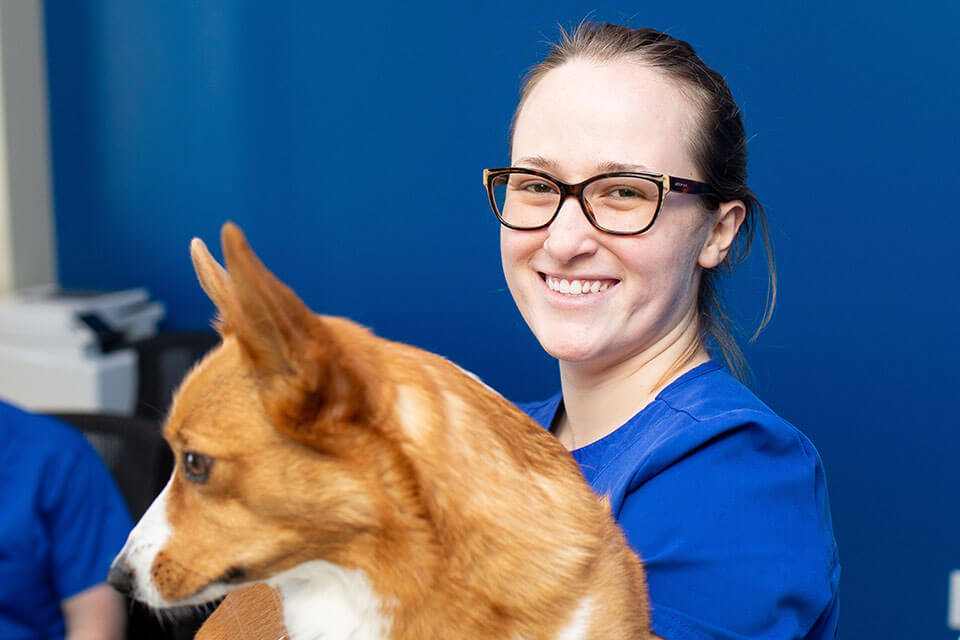 vet tech with corgi