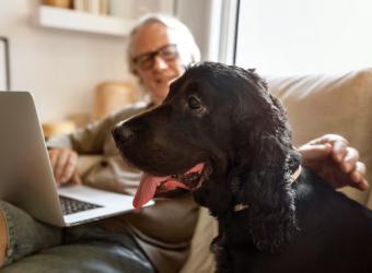 Understanding Your Senior Pet’s Body Language